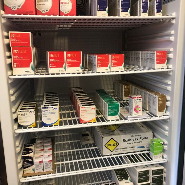 Medicines fridge for what we do